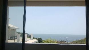 the blue view by timber