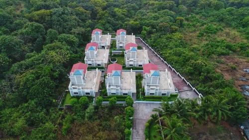 the blue view by timber