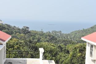 the blue view by timber