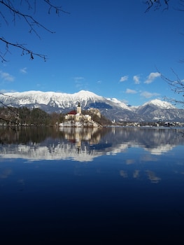 bled