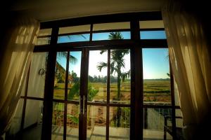 heaven upon rice fields