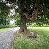 kilmaronock manse bandb