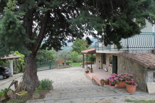 bed and breakfast villa flora