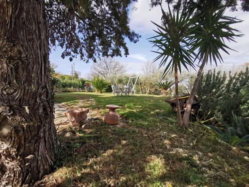 bed and breakfast villa flora