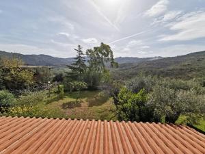 bed and breakfast villa flora