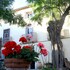 mas de bellegou bandb