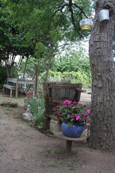 mas de bellegou bandb