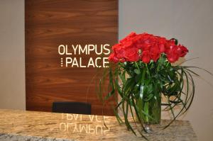 Olympus Palace,Salou>>Costa Daurada,4 star