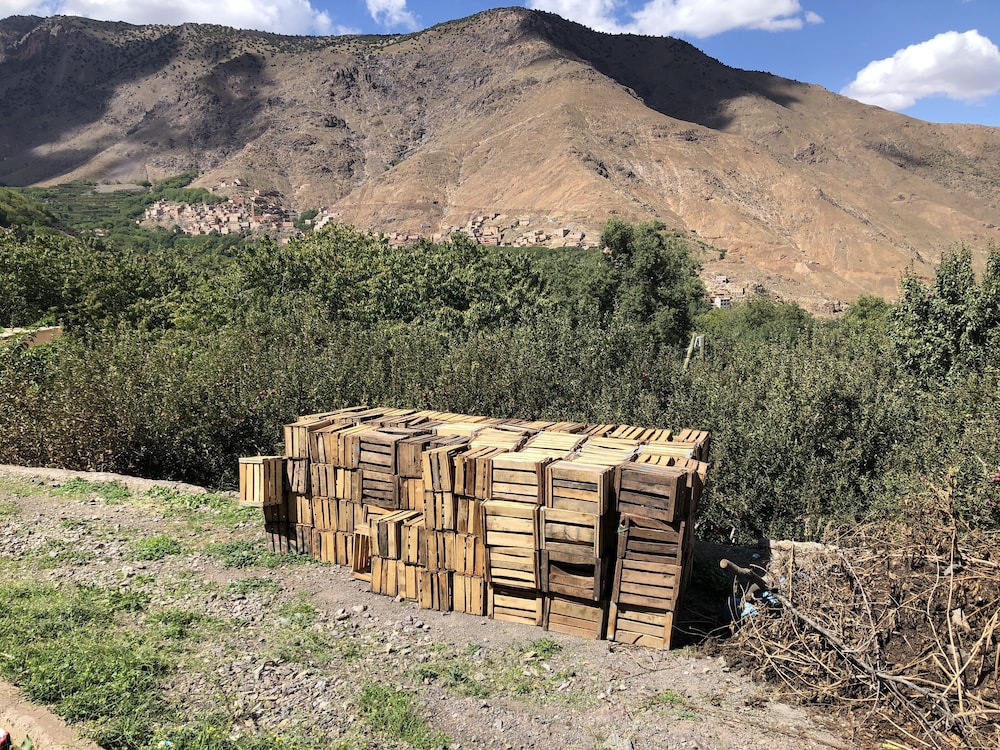 riad atlas 4 seasons