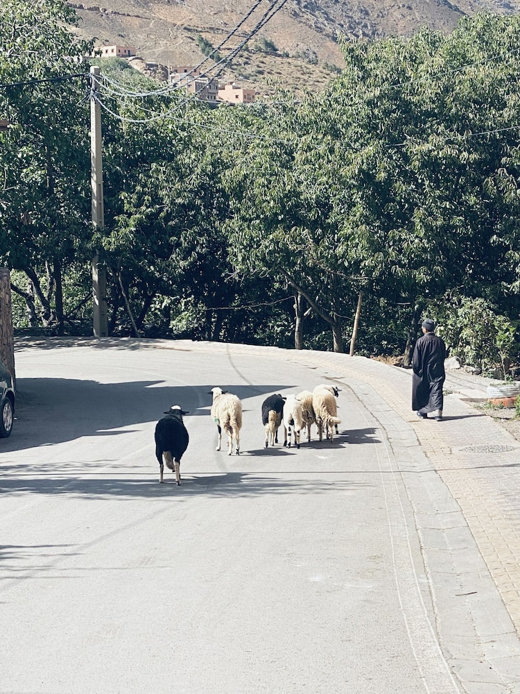 riad atlas 4 seasons