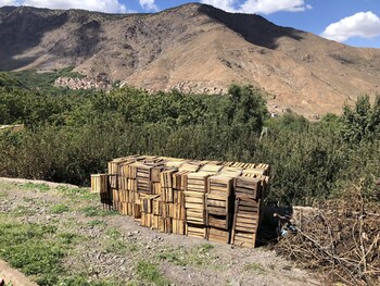 riad atlas 4 seasons