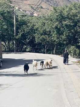 riad atlas 4 seasons