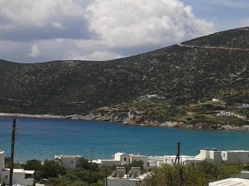 prasini gonia