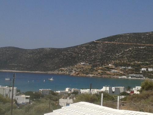 prasini gonia