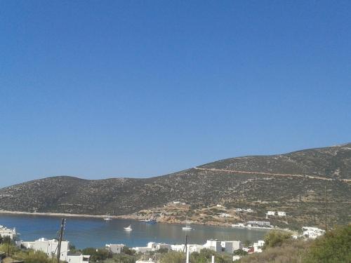 prasini gonia