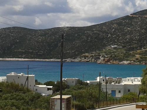 prasini gonia