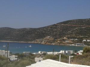 prasini gonia
