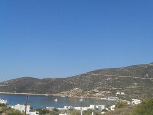 prasini gonia