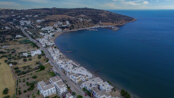 prasini gonia