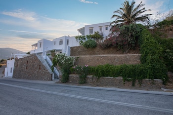 prasini gonia