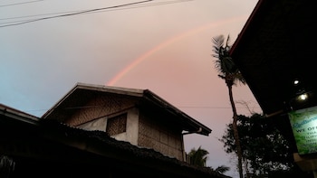 neptune diving resort moalboal