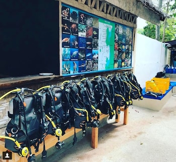 neptune diving resort moalboal