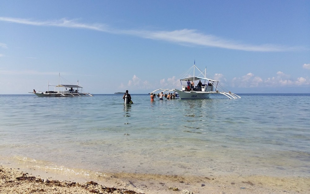 neptune diving resort moalboal