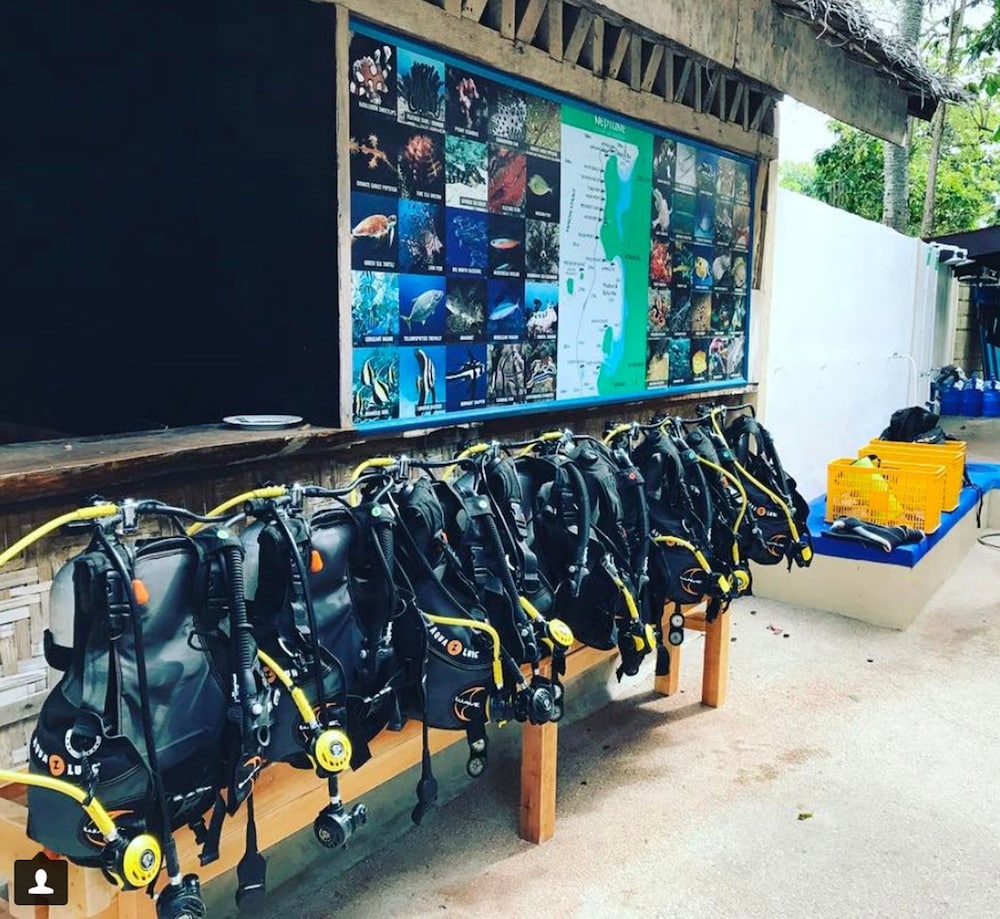 neptune diving resort moalboal