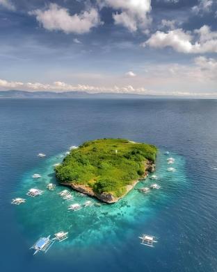 neptune diving resort moalboal