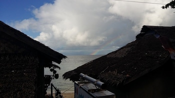 neptune diving resort moalboal