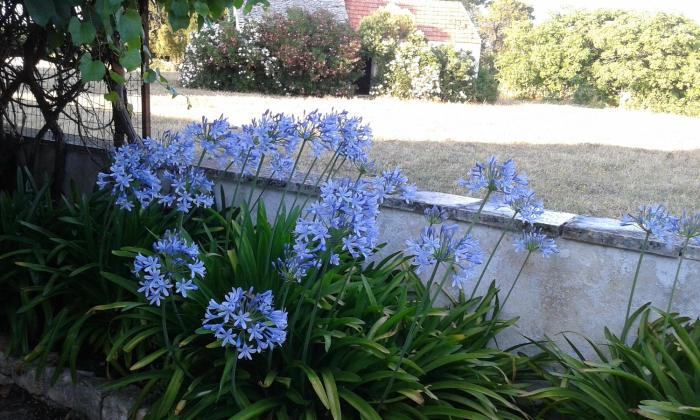 masseria murgia albanese