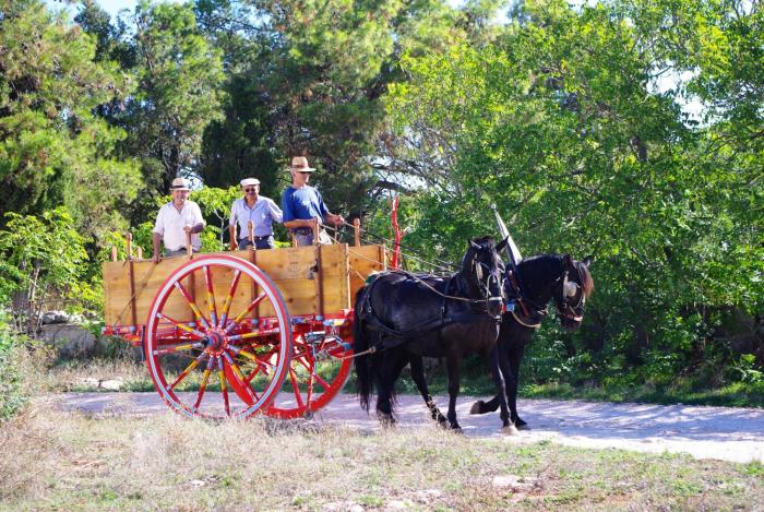 masseria murgia albanese