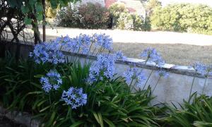 masseria murgia albanese