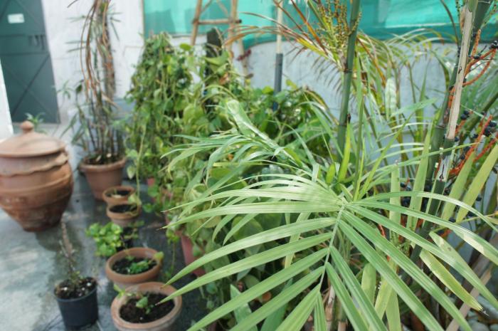 bed and chai guest house