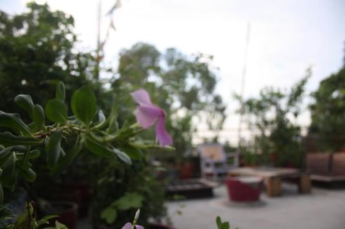 bed and chai guest house