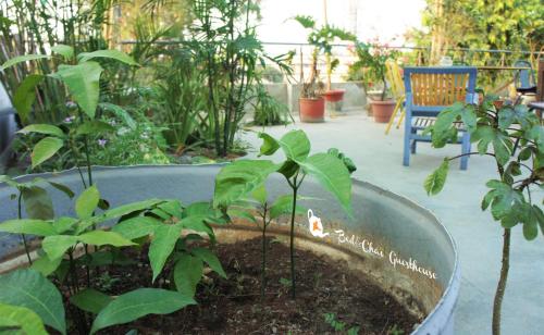 bed and chai guest house