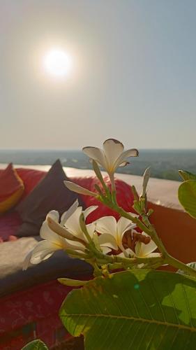 mud mirror guesthouse