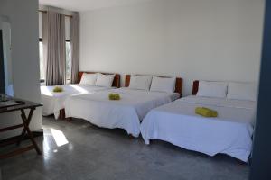 green garden house homestay