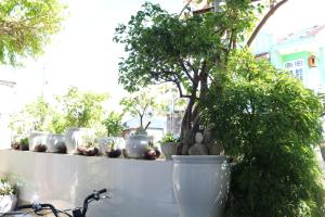 green garden house homestay
