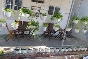 green garden house homestay