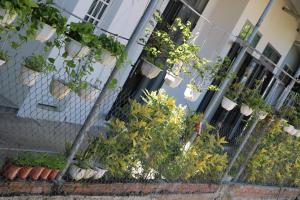 green garden house homestay