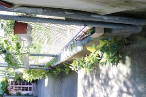 green garden house homestay