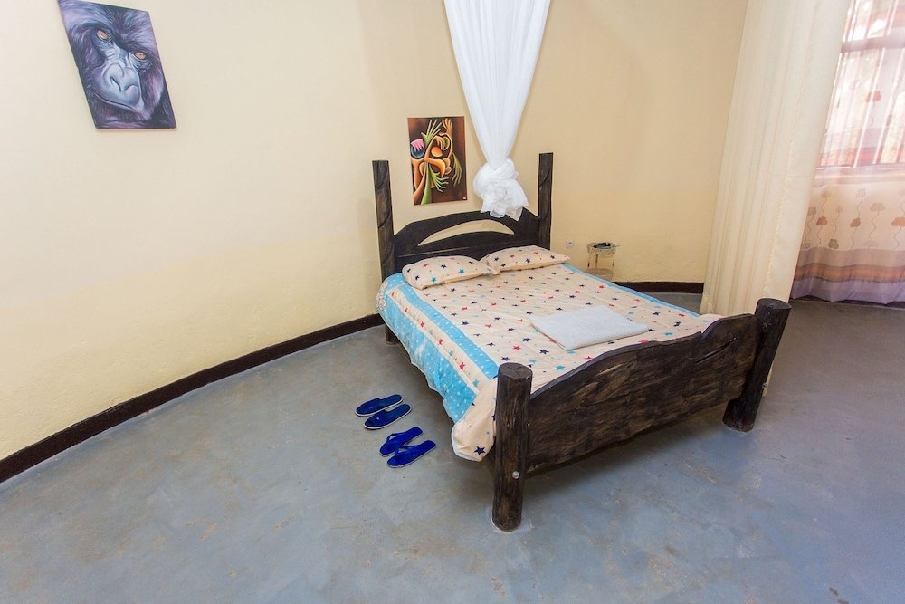 buffalo mountain lodge