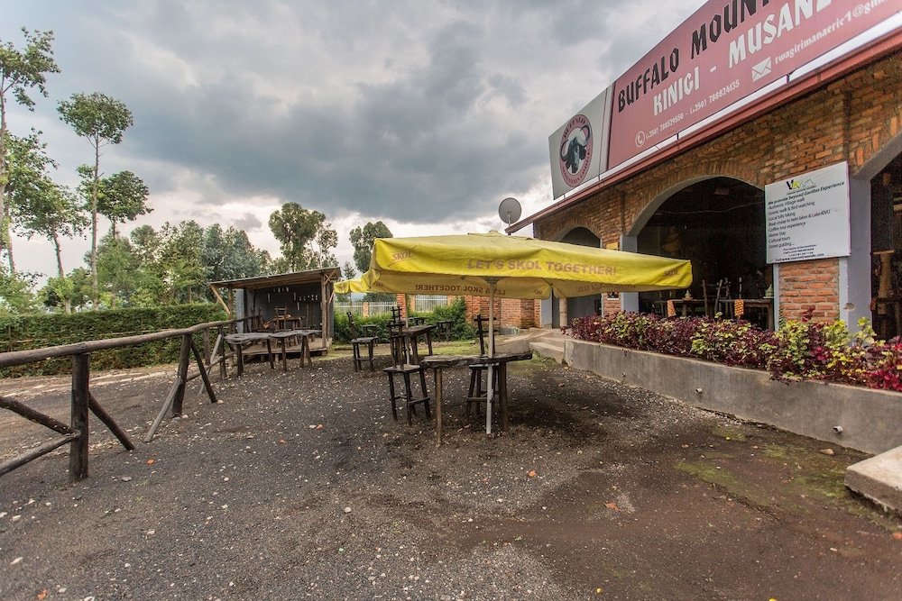 buffalo mountain lodge