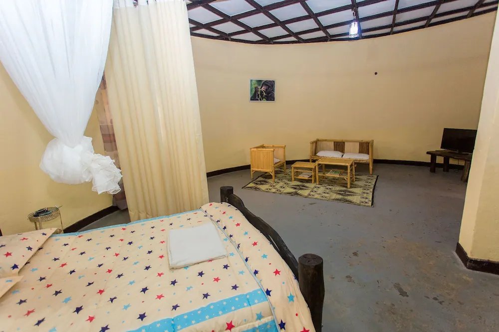 buffalo mountain lodge