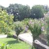 viterbo