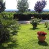 viterbo