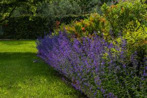 relais corte rodeschi
