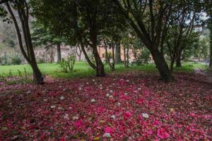 relais corte rodeschi