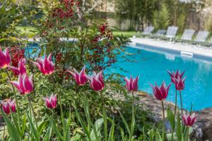 relais corte rodeschi